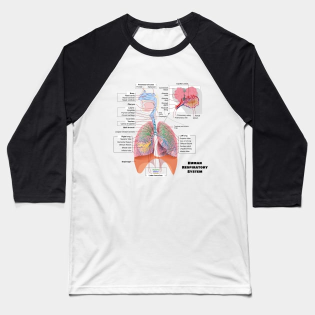 Human Respiratory System Diagram Baseball T-Shirt by sovereign120